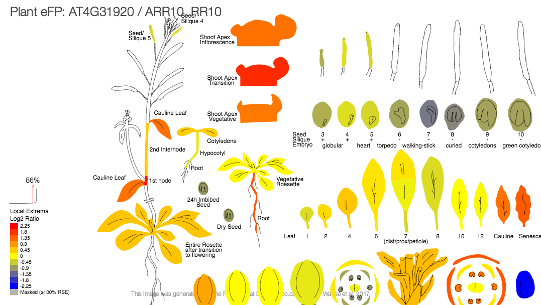 ePlant: una herramienta integral de visualización de datos para biólogos de plantas