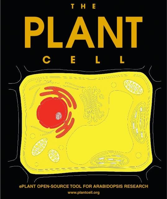La publicación de ePlant fue el artículo de portada de The Plant Cell de agosto.