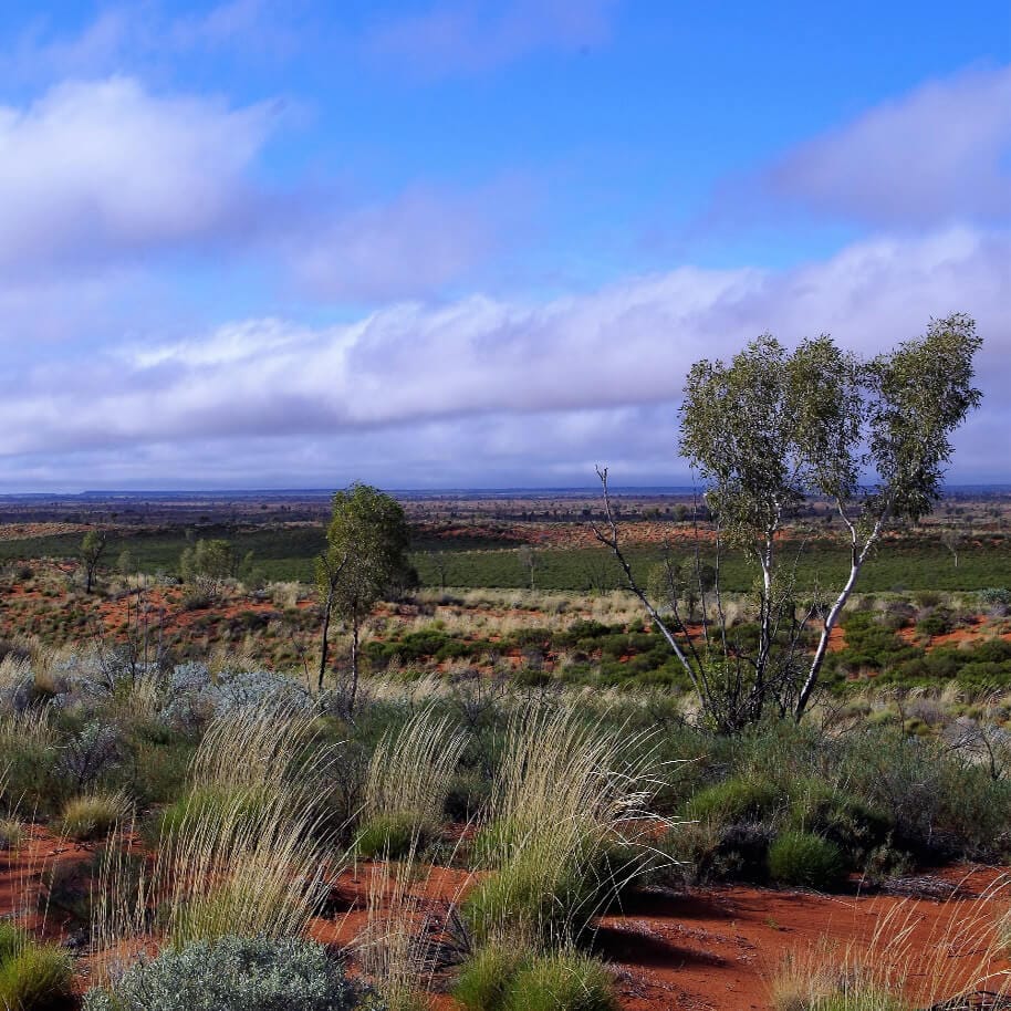 Fire-timing in relation to reproduction and mast-seeding cycles