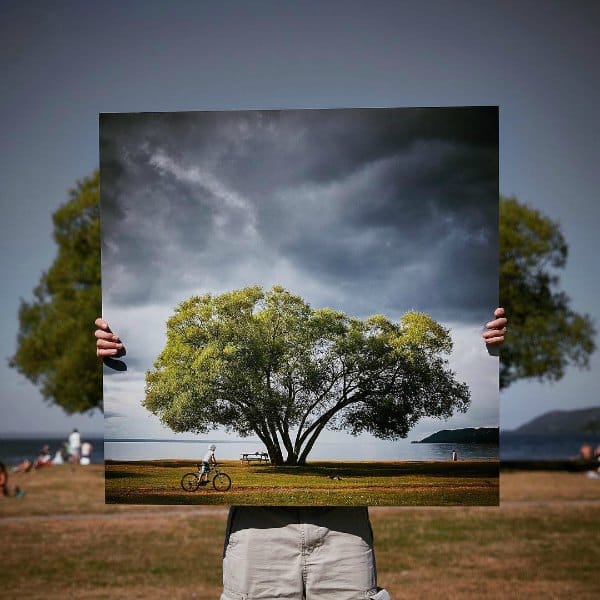 El árbol de brócoli