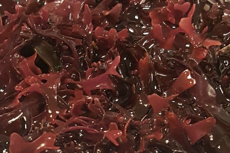 A mi-chemin entre l'industrie et l'université