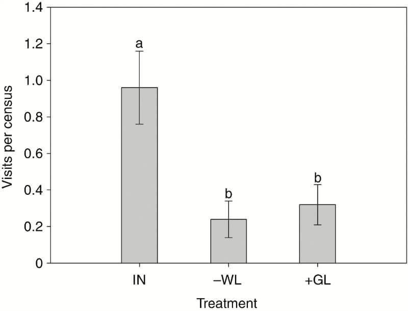 Number of fly visits per census (30 min) to plants subjected to three experimental treatments. The control group shows the greatest number of visits.