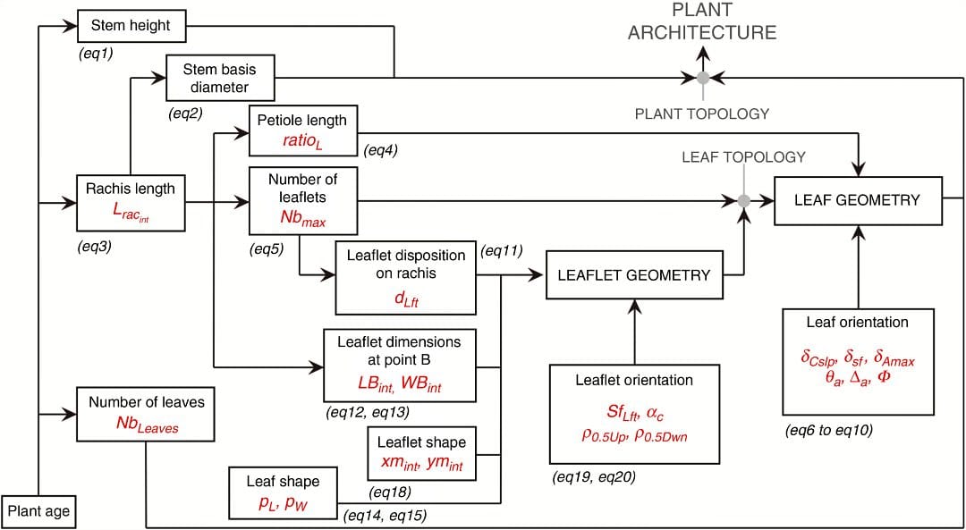 Diseño de ideotipos arquitectónicos de palma aceitera para una intercepción de luz optimizada
