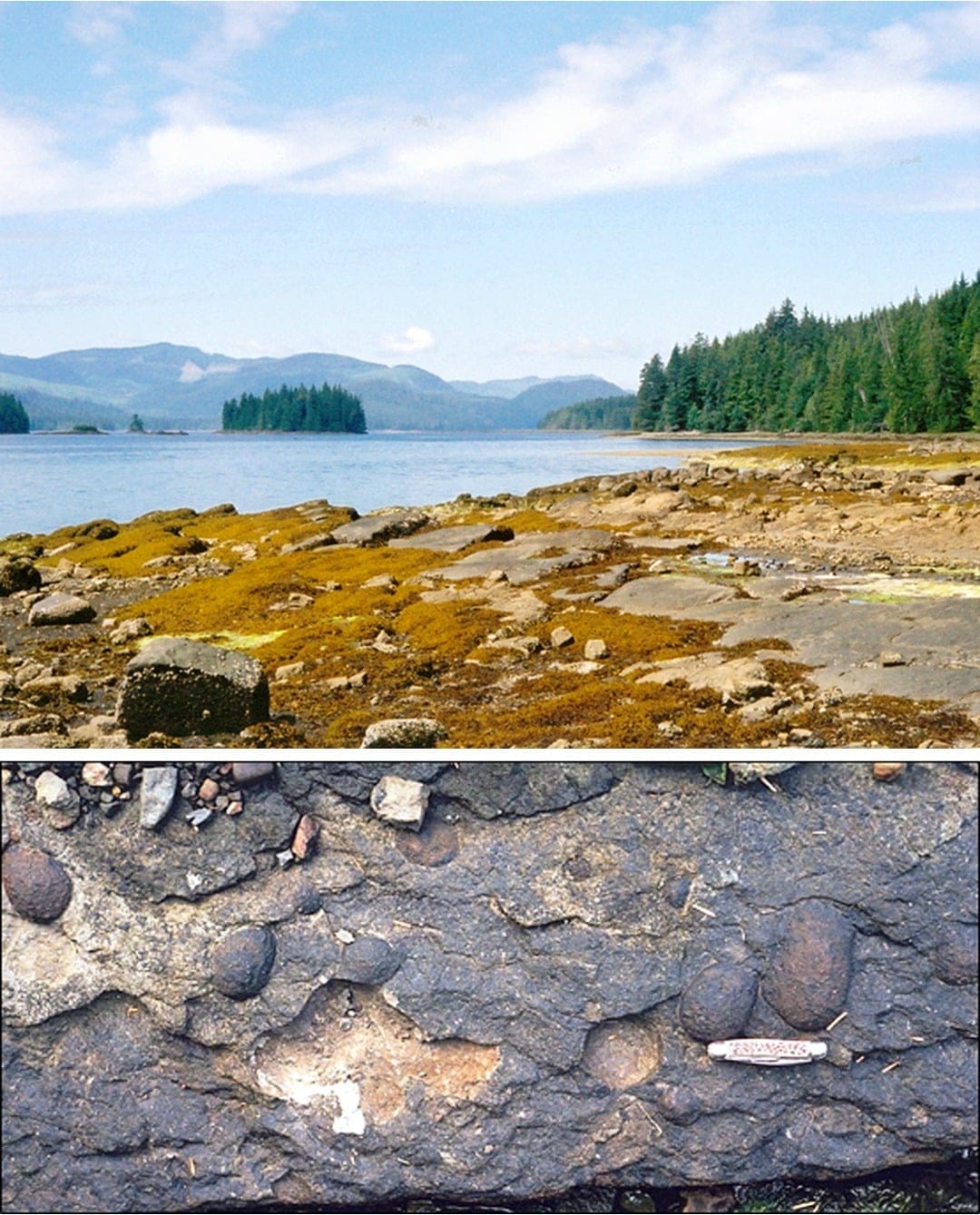 Rocas del Cretácico en la isla de Vancouver (Columbia Británica)