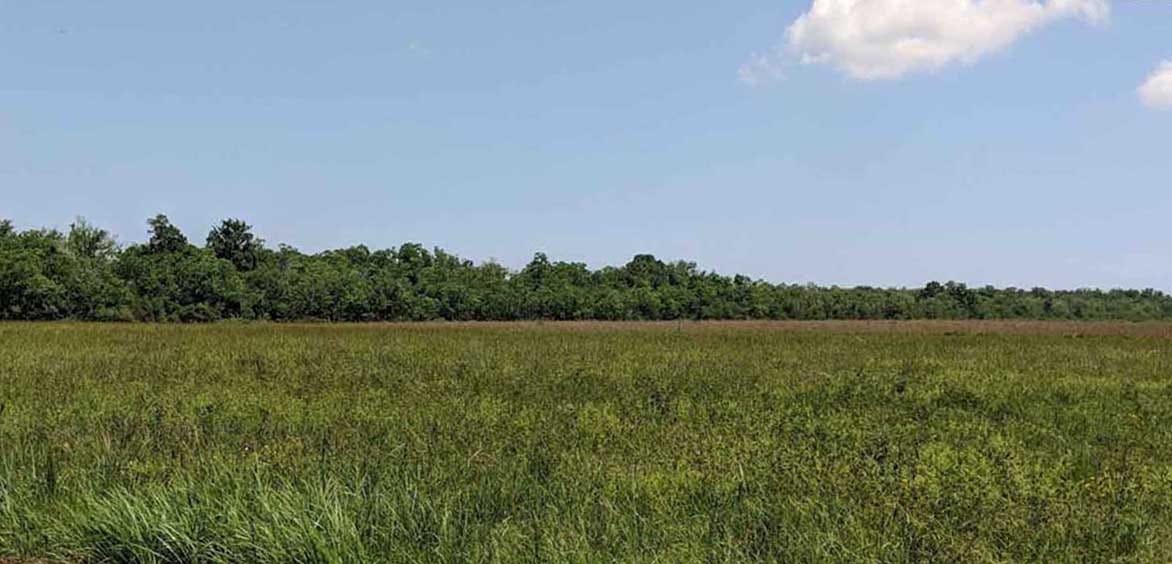pradera costera en Texas