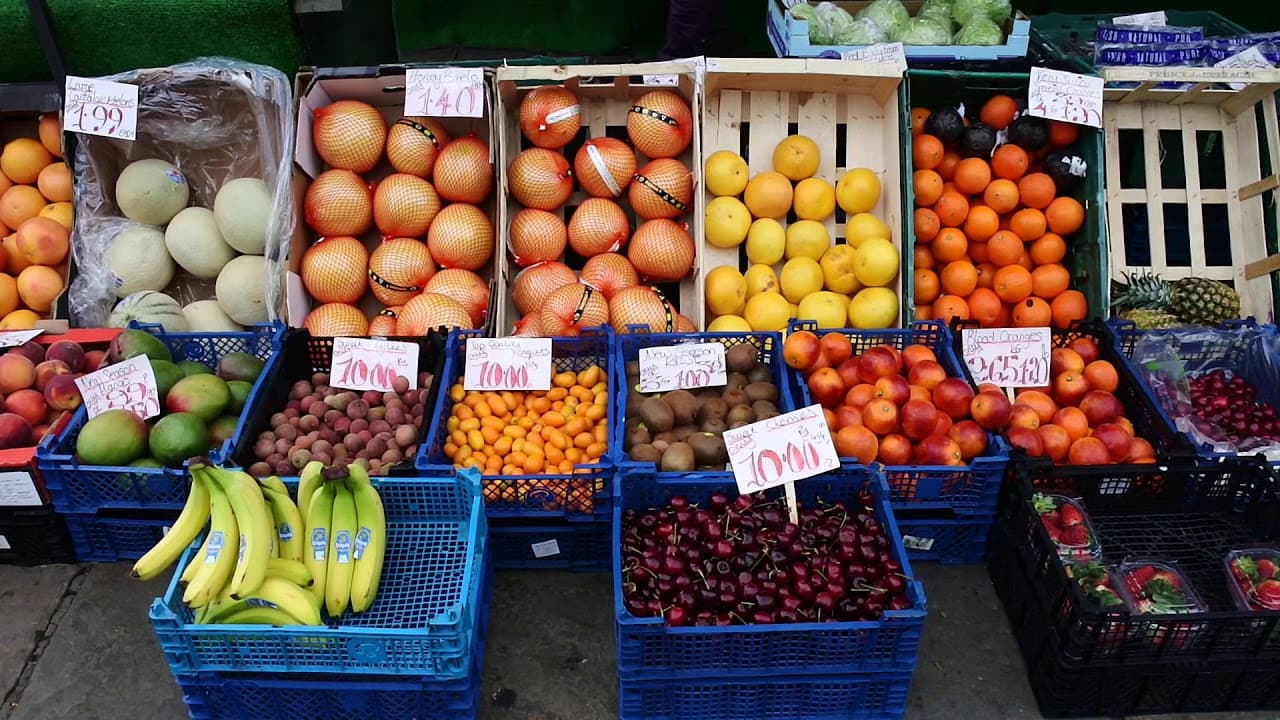 Sensibilisation à la cécité des plantes