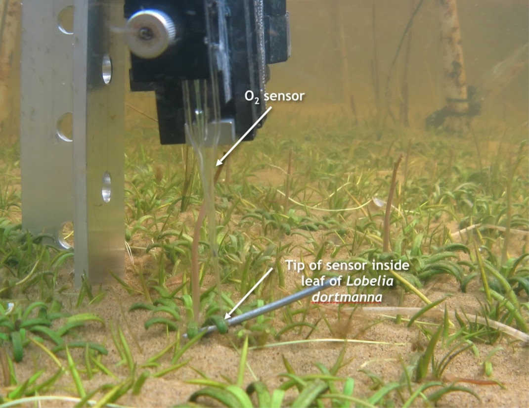 El sensor de CO2 en acción