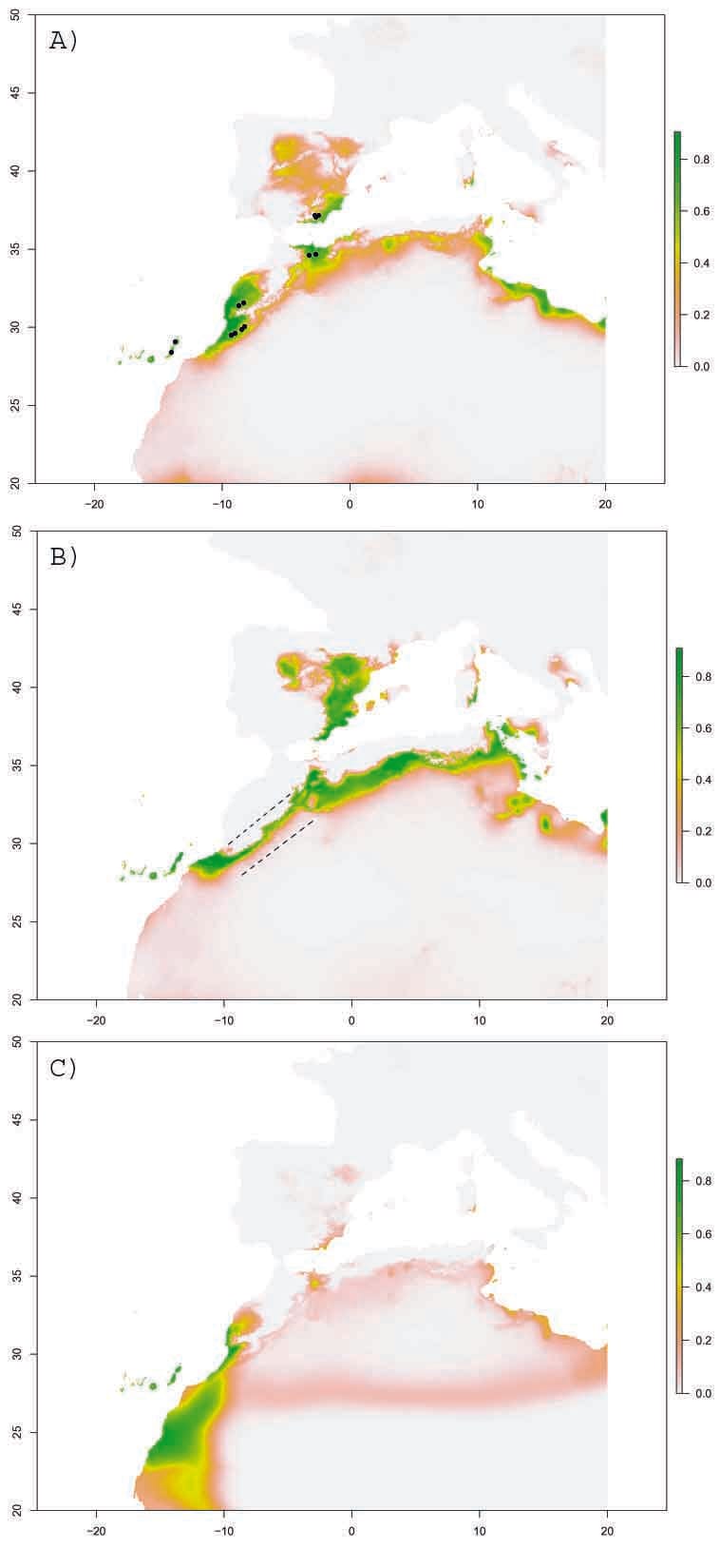 Phylogéographie d'une herbe disjointe en voie de disparition&nbsp;: voies de dispersion, de refuge et de colonisation sur de longues distances