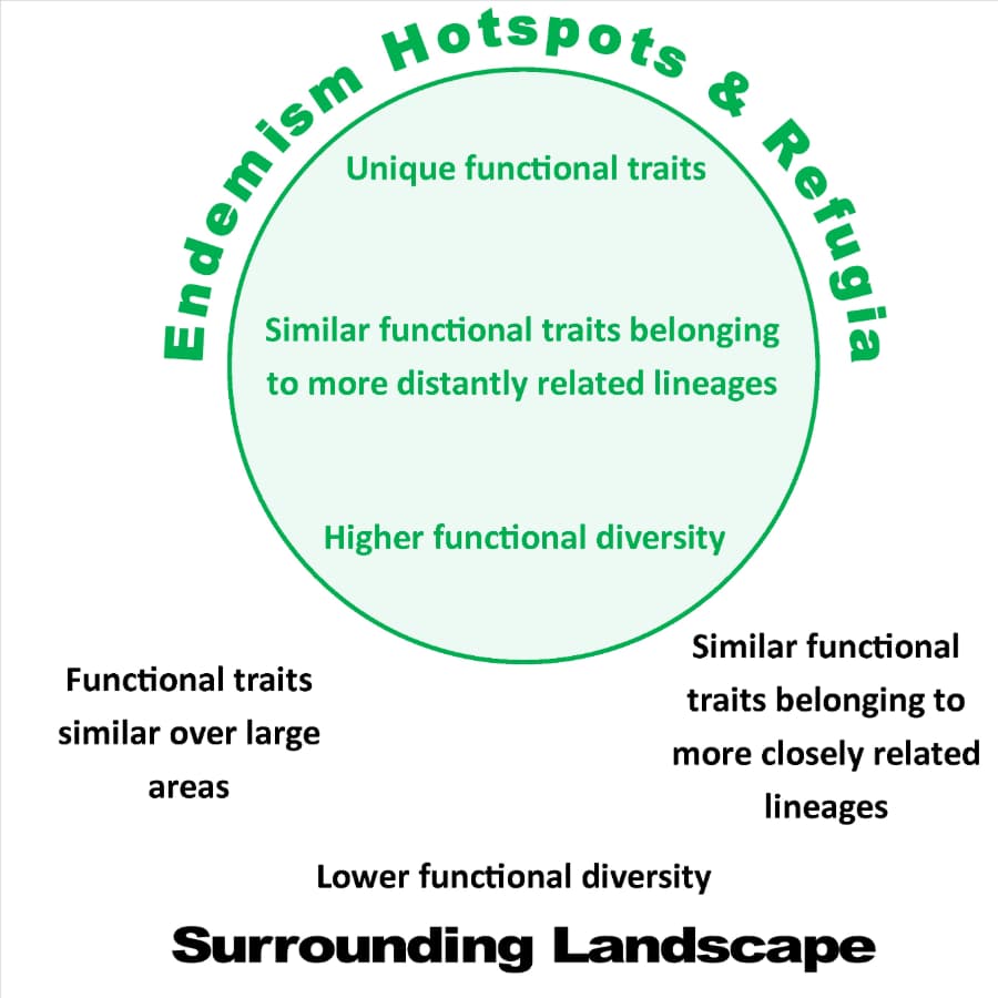 Traits fonctionnels dans les points chauds et les refuges d'endémisme
