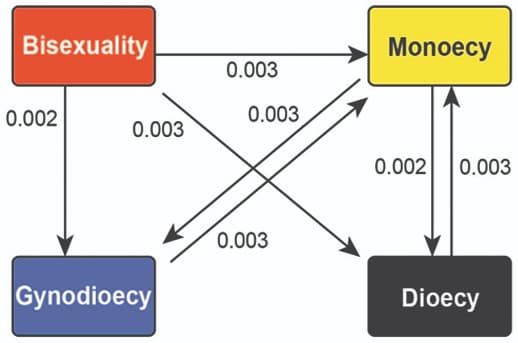 Evolución del sistema de reproducción en Ficus y Moraceae