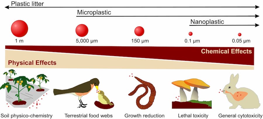 Microplastics as trigger of combined physical or chemical‐like effects.