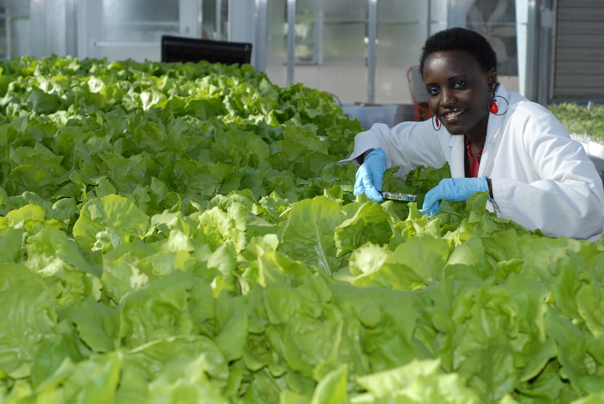 Do the small things to make a big difference