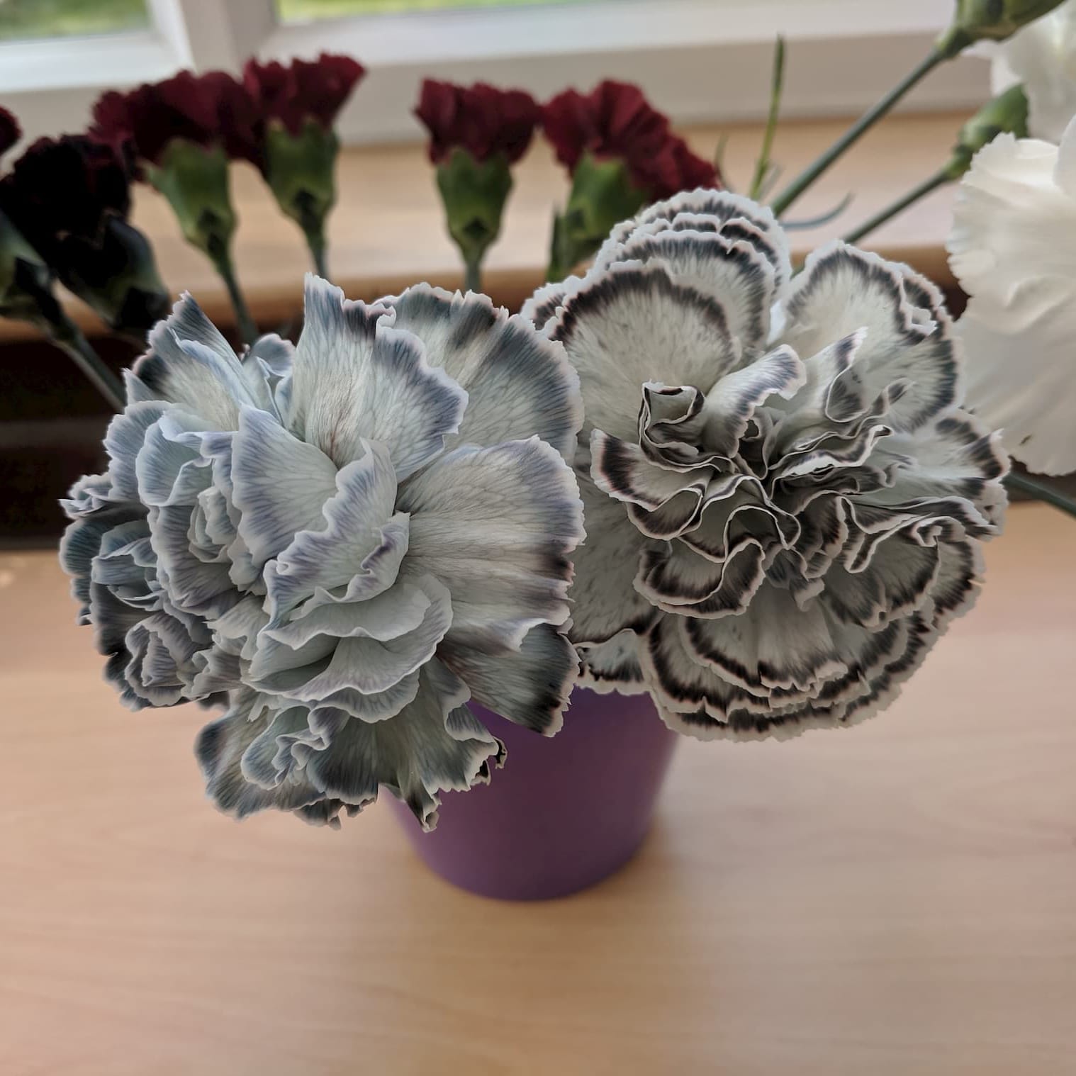 La guía de una persona impaciente para hacer flores negras.