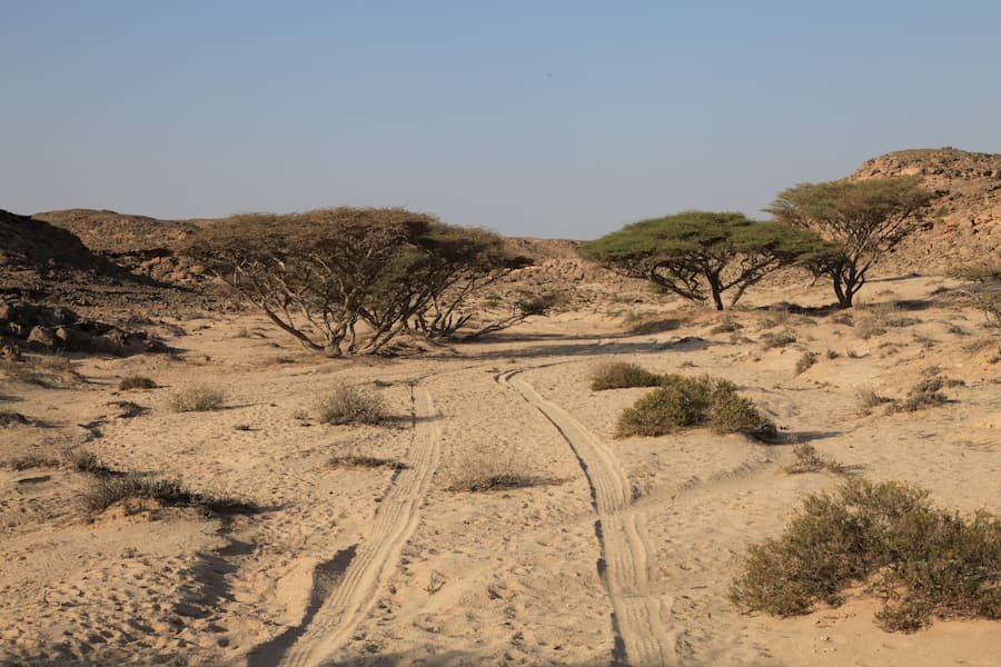 El desierto en Omán