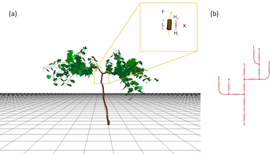 Un modelo informático de una planta.