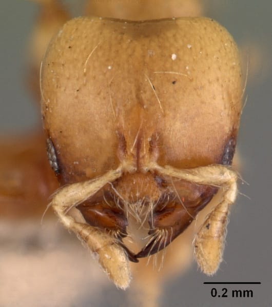 Curso final: 'Café'… *