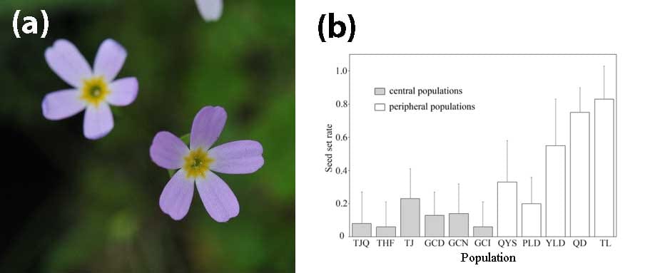 Variación intraespecífica de la autoincompatibilidad en la planta distilosa Primula merrilliana