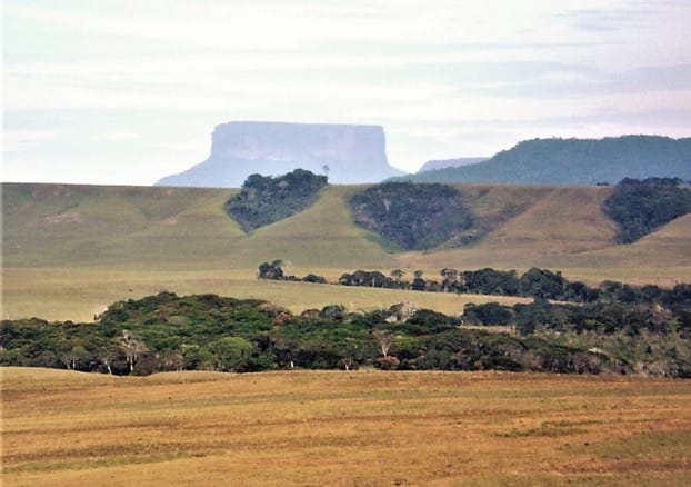 Estrategias de consanguinidad y exogamia en comunidades vegetales de la Meseta de la Gran Sabana venezolana