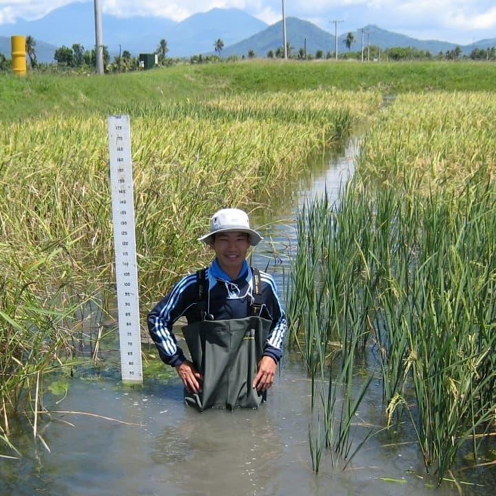 Ahora el arroz tiene más opciones para hacer frente a las inundaciones.
