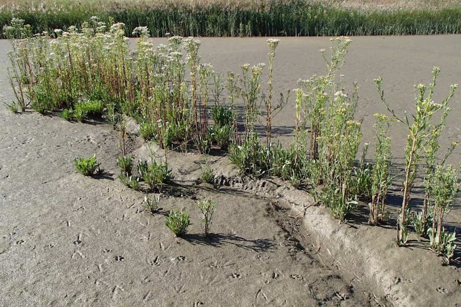 Incluso un pequeño cambio en la topografía puede ayudar a las mareas a impulsar una bomba de oxígeno