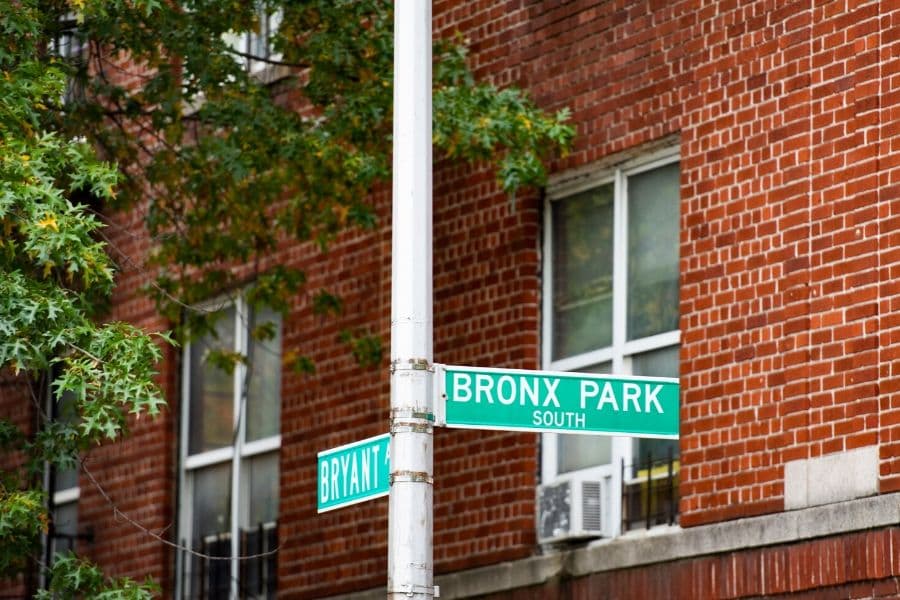 Un currículo escolar podría hacer que la ciudad de Nueva York parezca menos gris y más verde