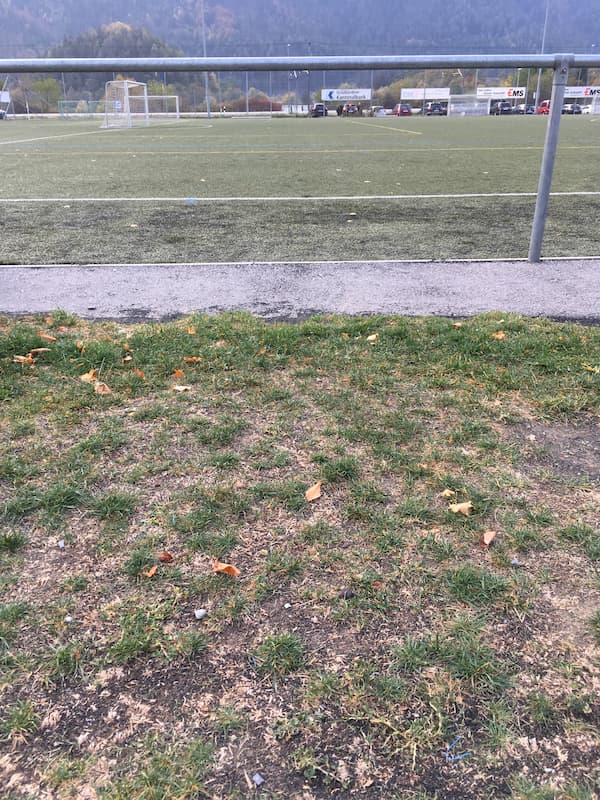 El relleno de microplástico para césped artificial daña las especies de pastizales