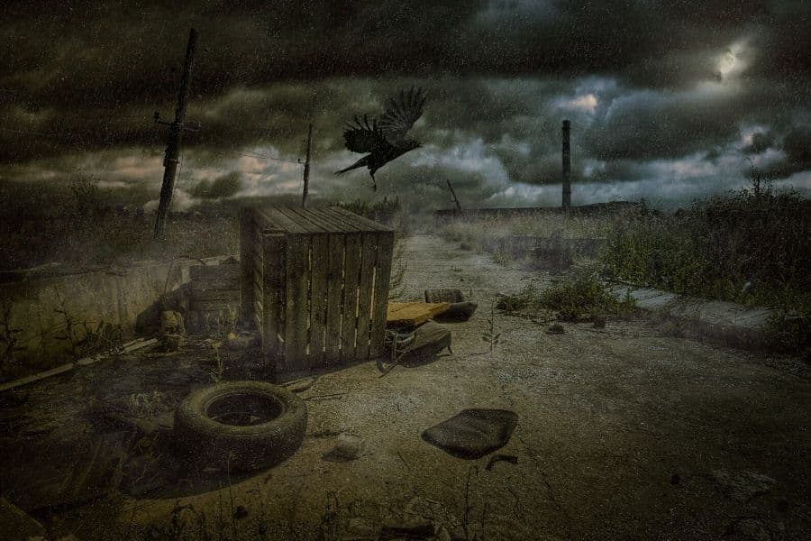 Les sols empoisonnés pourraient être guéris avec le bon type de cresson