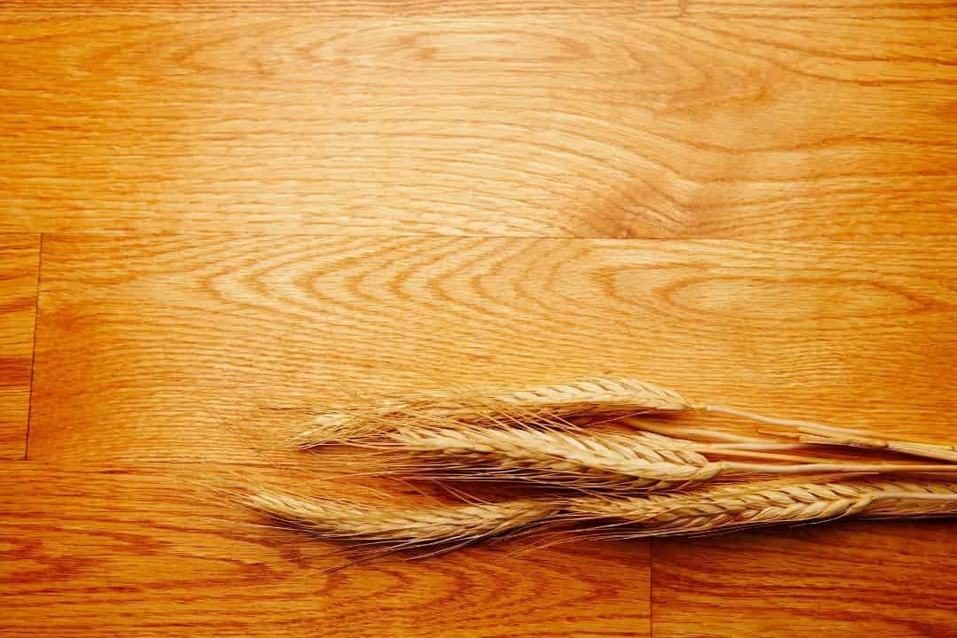 El crecimiento de la raíz y la altura de la planta están conectados a un gen relacionado con la auxina