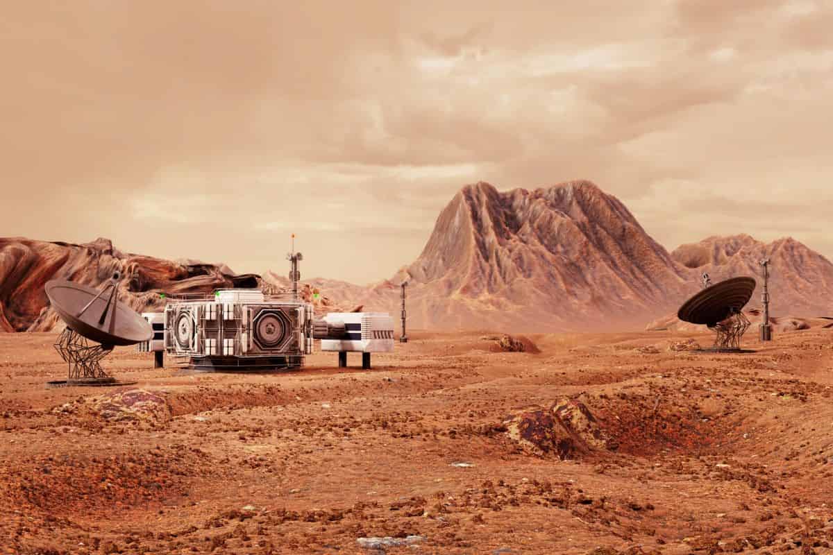 Cultiva tu propia ensalada marciana