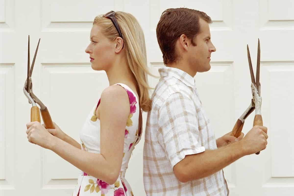 L'herbivorie simulé conduit les graminées à transmettre des symbiotes fongiques à leur progéniture