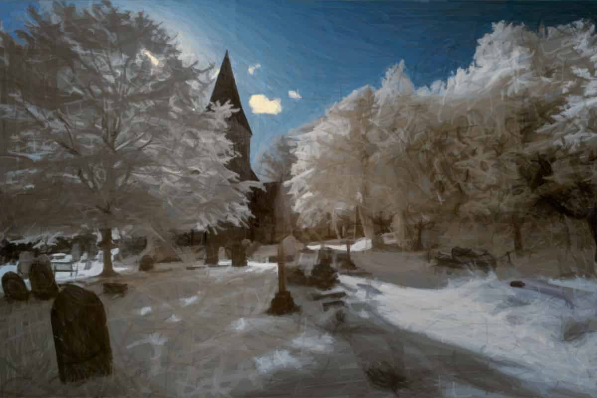 Les protéines à domaine indéterminé (IDD) disent quelque chose sur un lointain ancêtre commun de Streptophyta