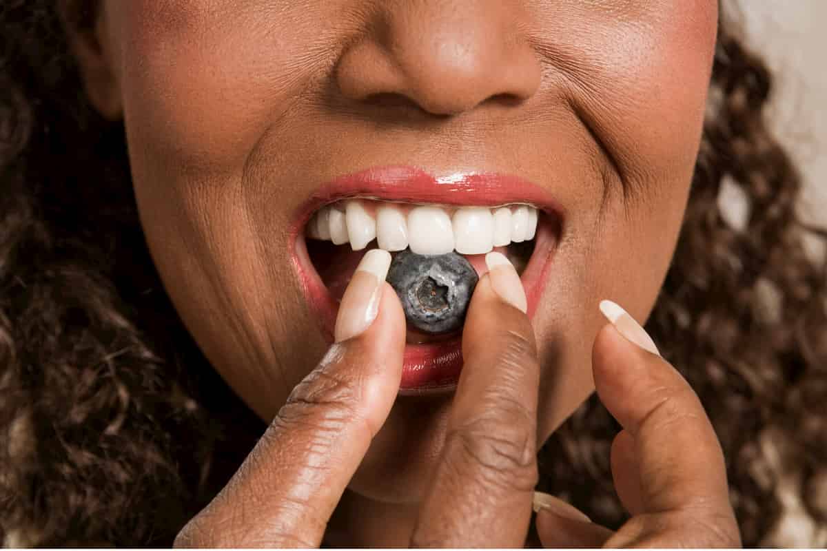 La historia (o fenología) de dos arándanos silvestres en Canadá