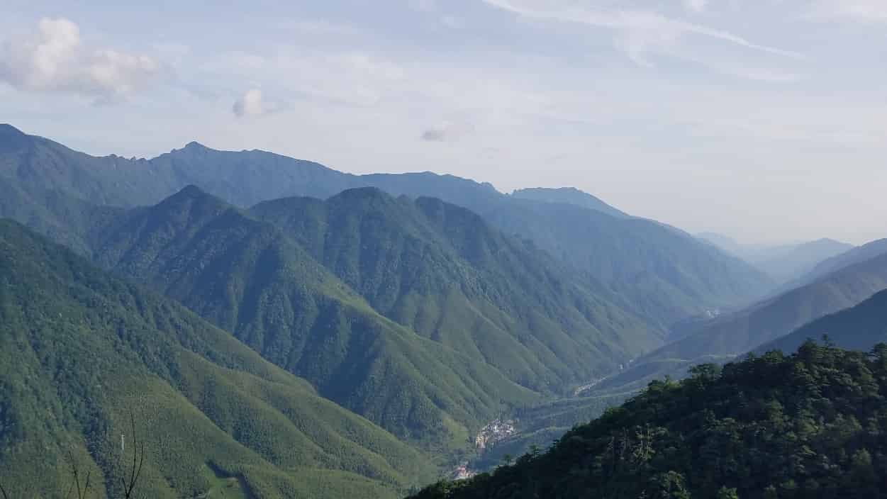 Relaciones de escala convergentes nitrógeno-fósforo en diferentes órganos vegetales