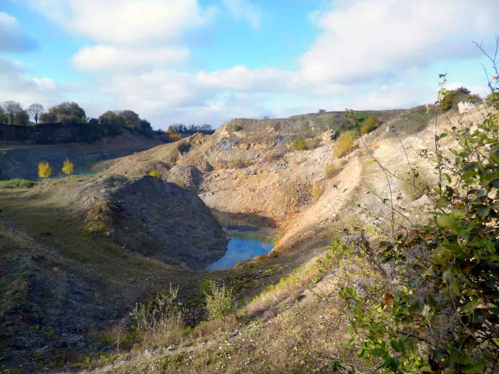 Restauración de la “Tierra de nadie” con hongos micorrízicos nativos y mezclas de semillas de plantas