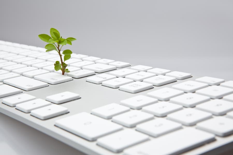 Modelos basados ​​en agentes en ciencia vegetal