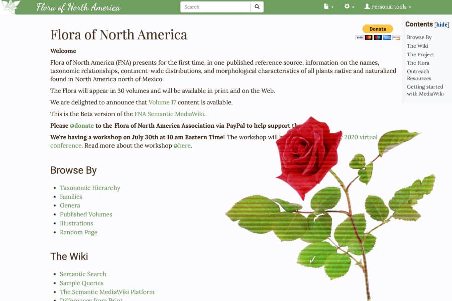 Floras of the Future: A look at Flora of North America Online