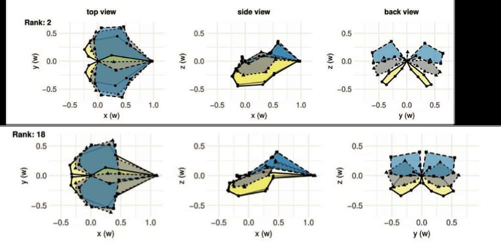 Parcelas de forma de hoja.