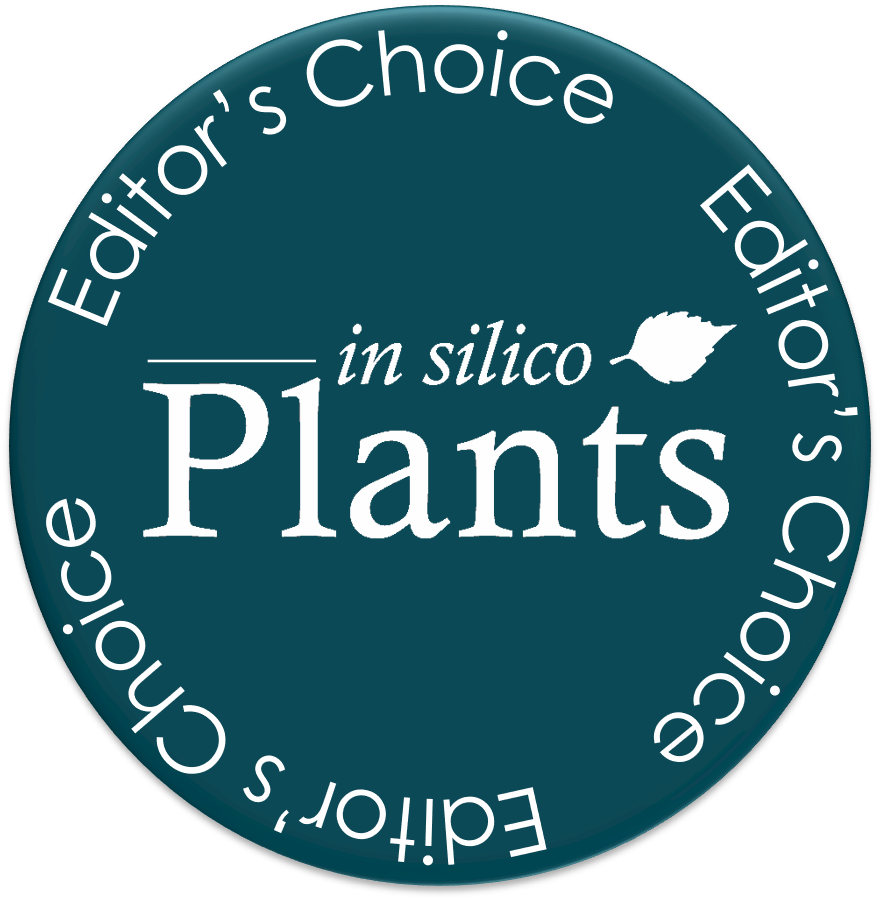 '¿Cuál es tu artículo favorito de isP y por qué?'