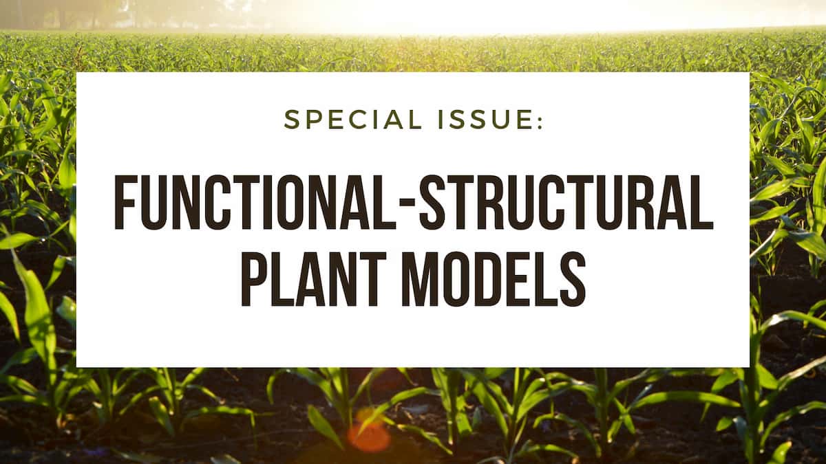 Appel à contributions : Modèles fonctionnels-structurels de plantes