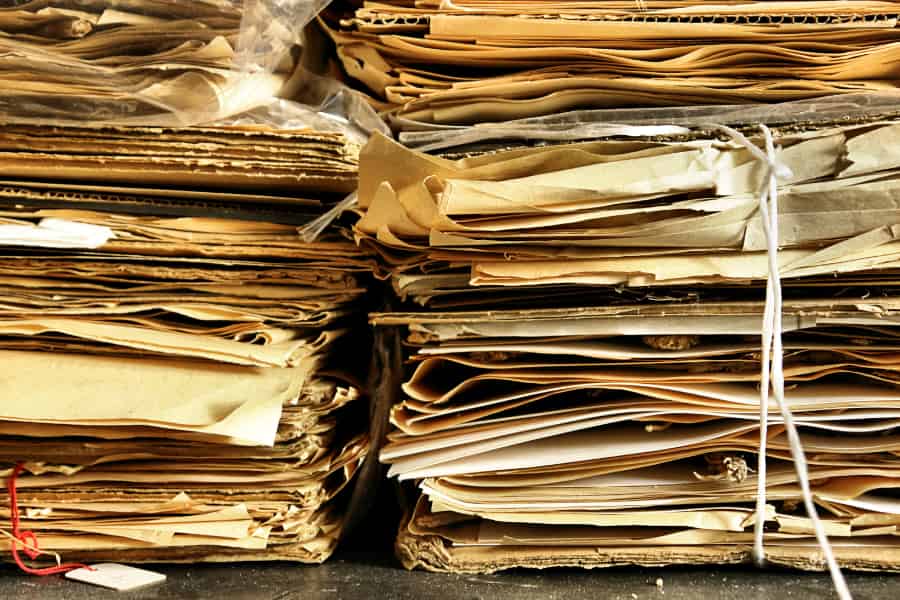 State of the World’s Plant & Fungi Collections (Part One)