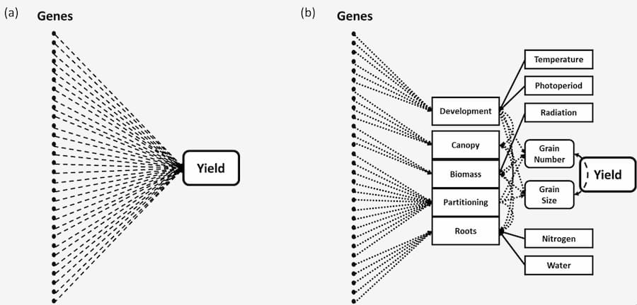 Appel à un nouveau paradigme pour l'amélioration des cultures
