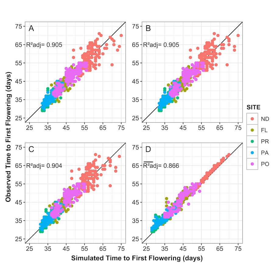Transforming crop simulation models into gene-based models