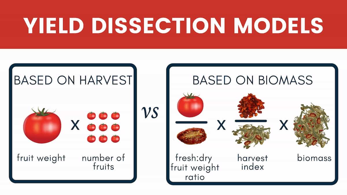 La evaluación de los componentes del rendimiento conduce a la mejora del rendimiento