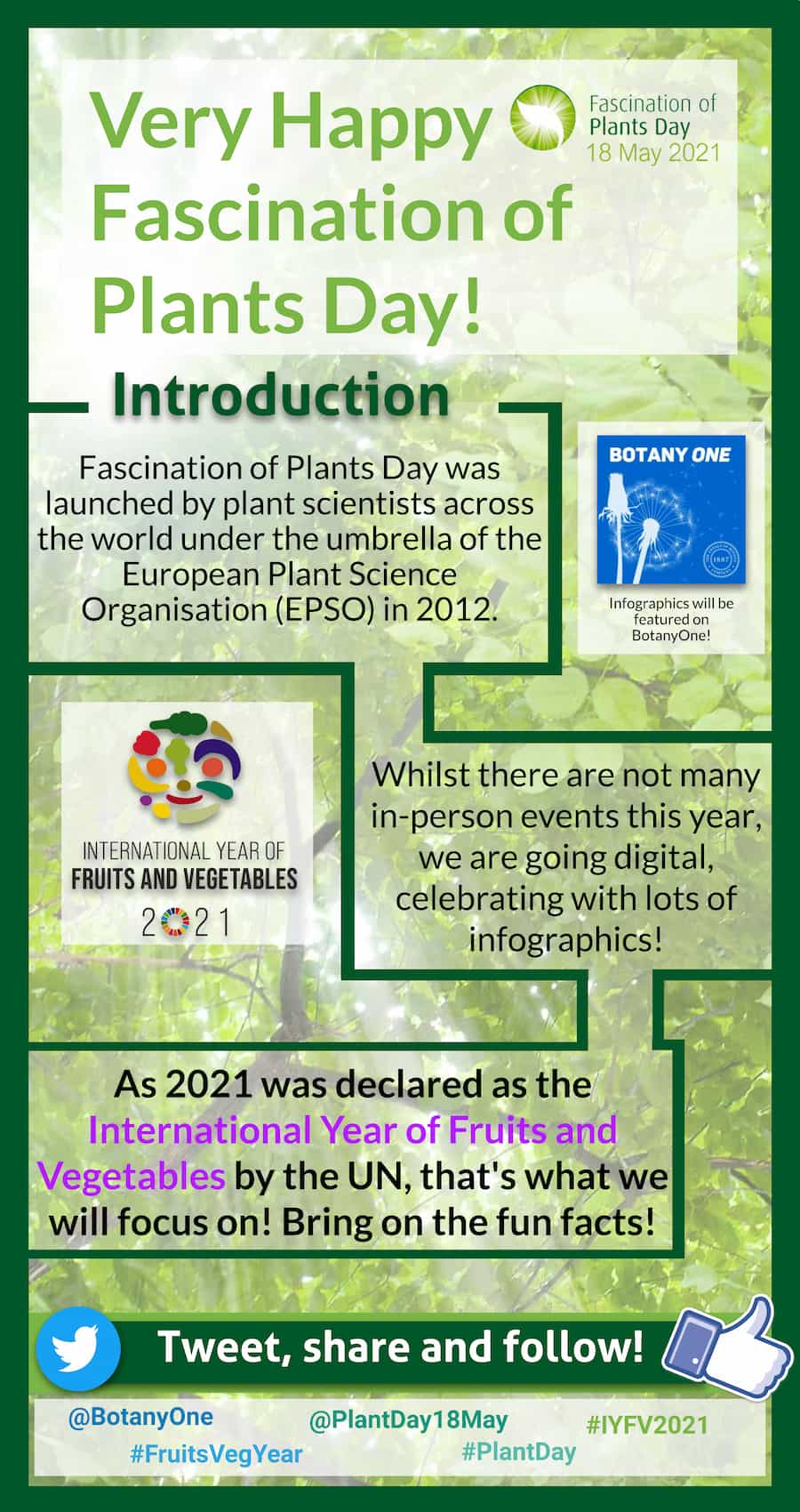 Fascination of Fruits and Vegetables