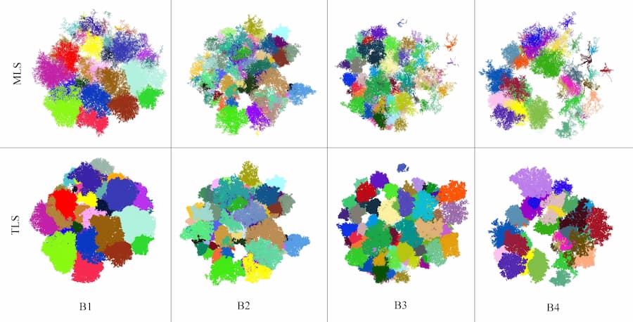Tirer des arbres des nuages ​​avec un balayage laser mobile