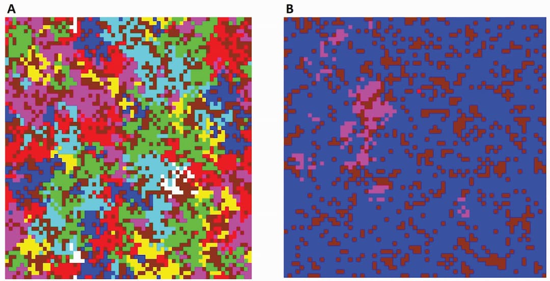 Qu'est-ce qui motive la diversité végétale?