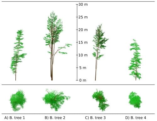 Reconstrucción de árboles a partir de escaneos láser terrestres