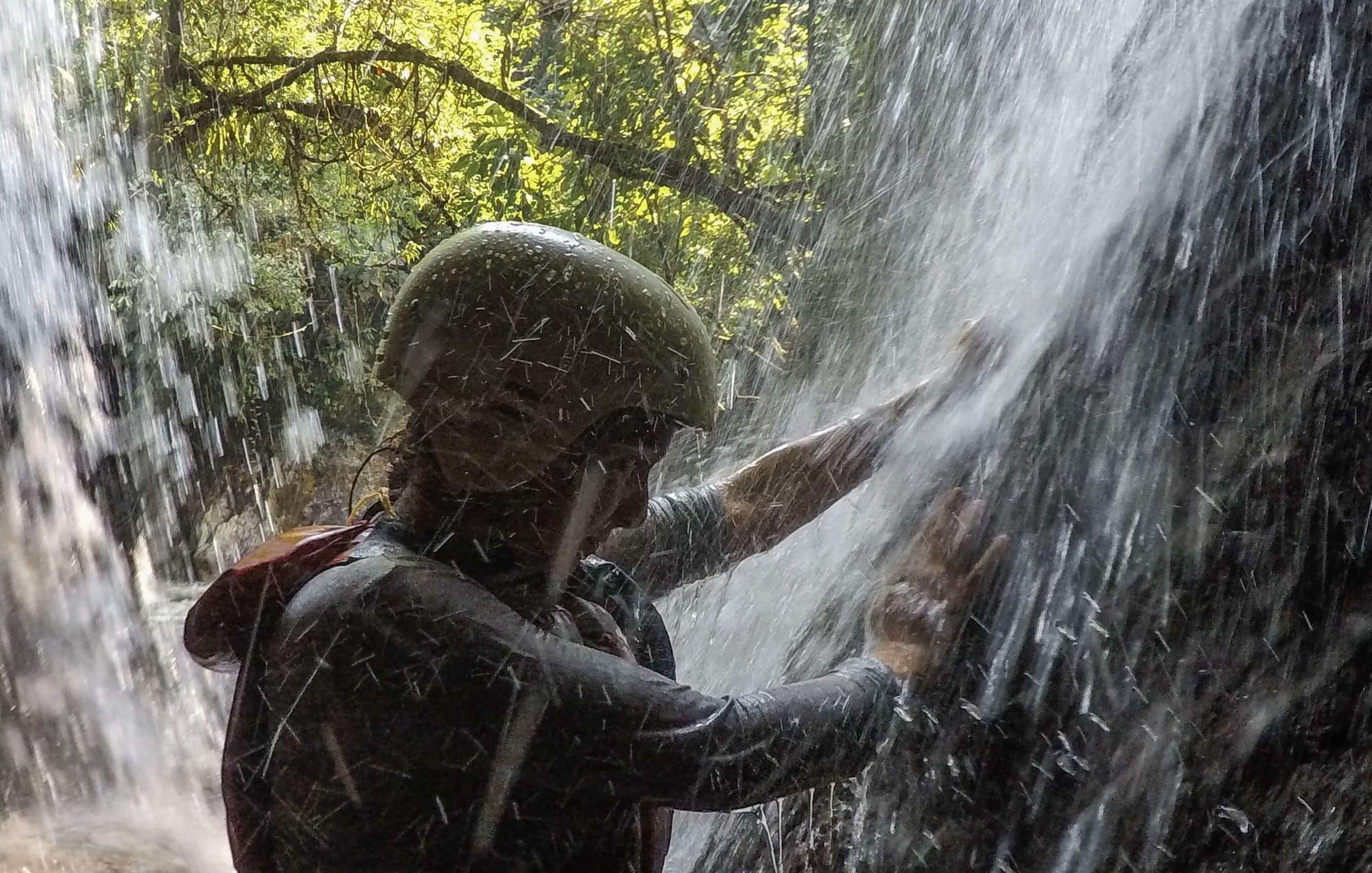 Un nouvel studio montre que les Andes ont déterminé l'histoire des plantes aquatiques