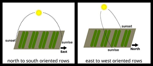 Should you plant your tomato rows oriented north to south or east to west?
