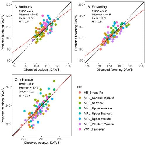 Construire un meilleur modèle de vigne